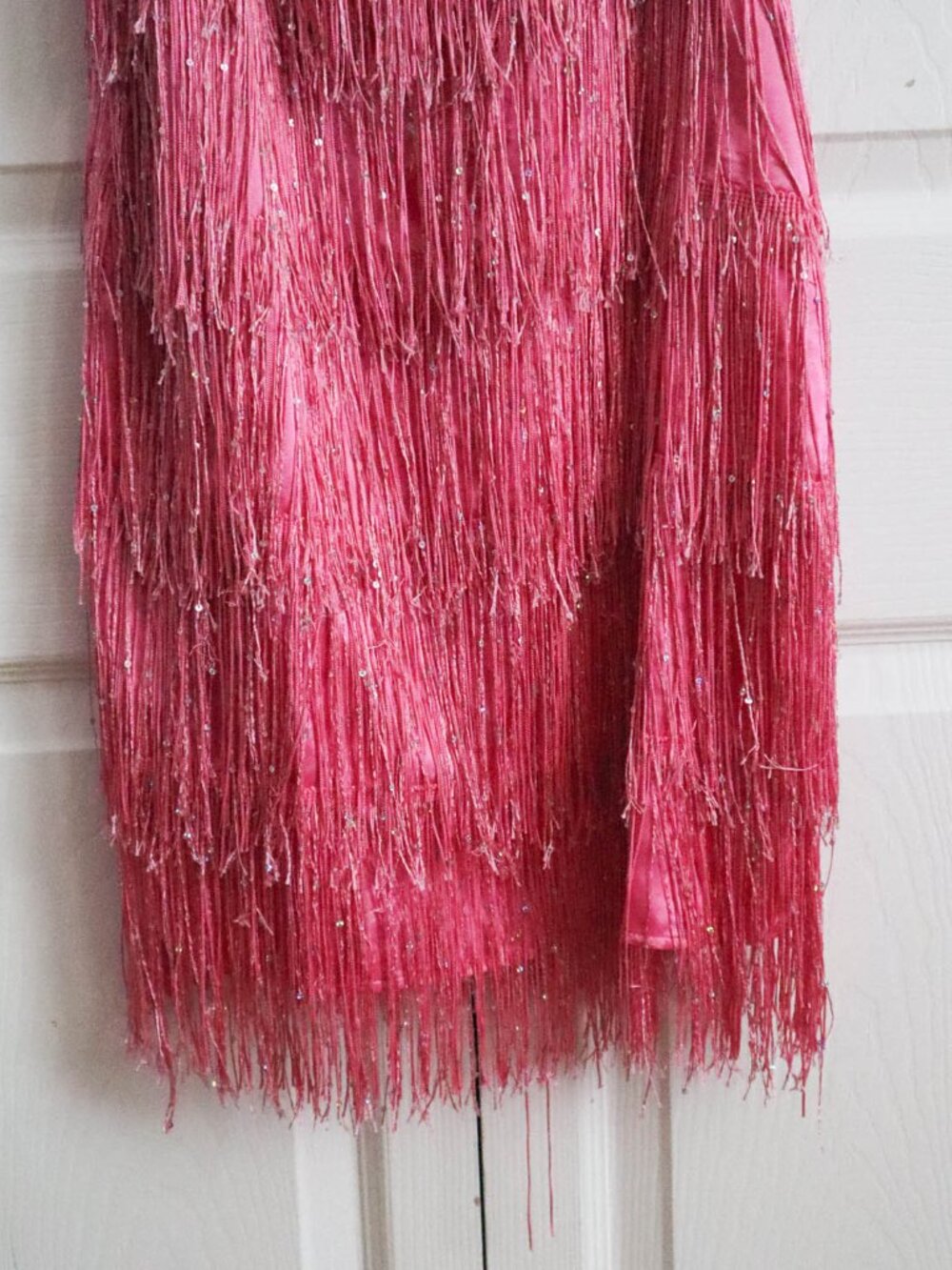 Chasing Fireflies Girls' Flapper Dress Costume Sz 12 Fringe Sequins Dolly Parton - Picture 5 of 8